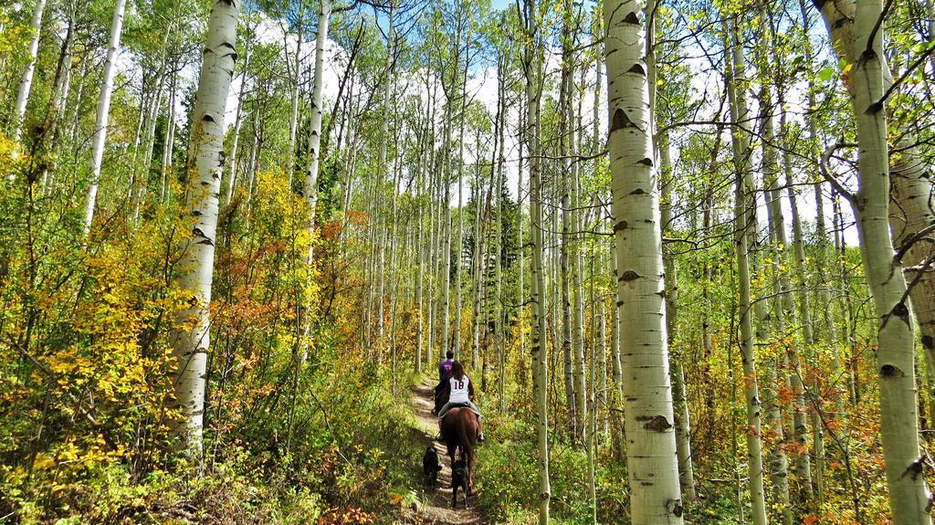 Teton Hostel Hideaway ドリッグス エクステリア 写真